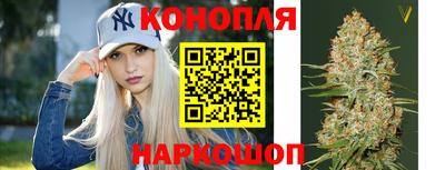 дмт Пенза