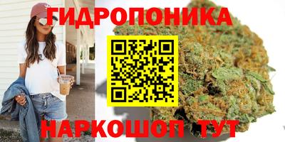 стафф Обнинск